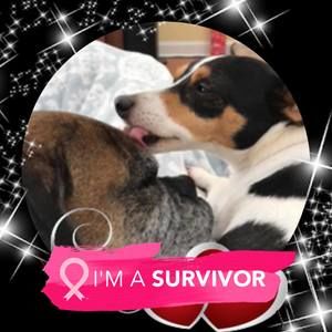 Meet your Posher, Joanne